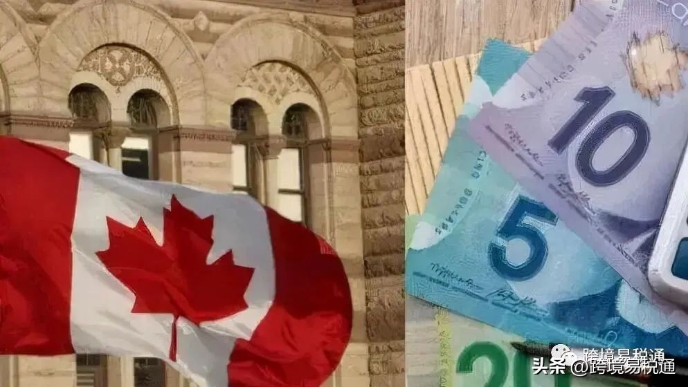 加拿大税务深度解析,加拿大税务申报