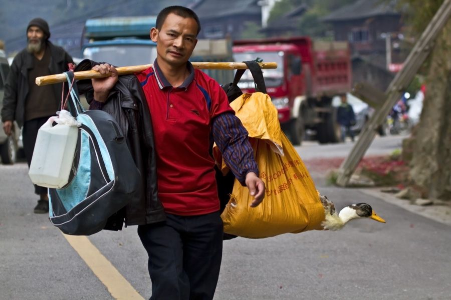 现在农民打工好还是在家种地好,回农村种地能赚钱吗