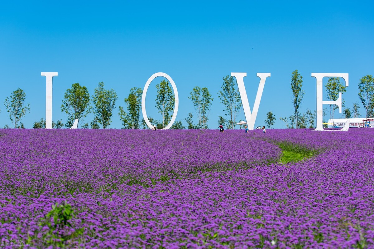 哈尔滨旅游攻略5天4晚自由行冬季,冰岛芬兰挪威三国自由行