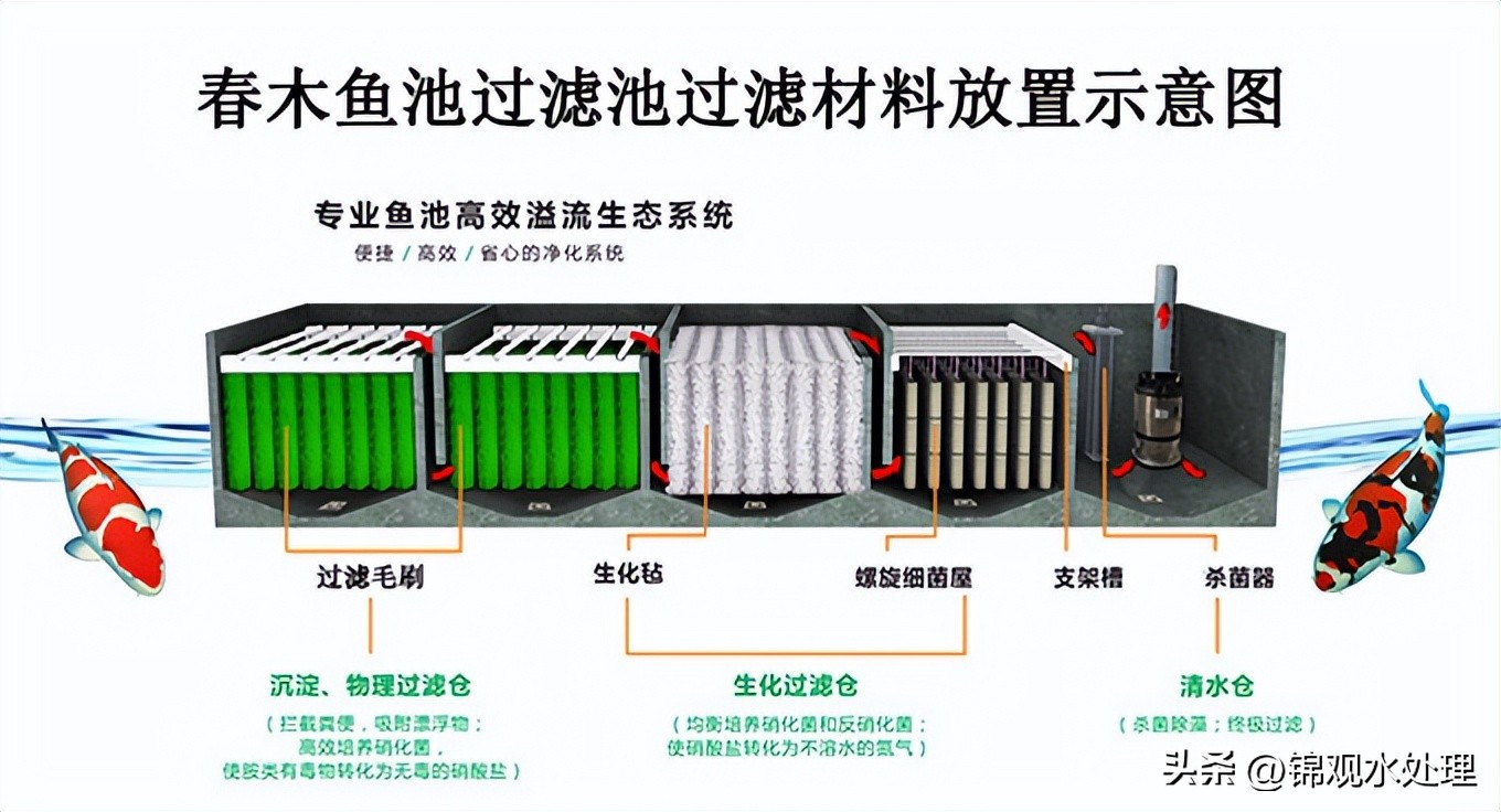 最简单高效的鱼池过滤系统设计图,室外鱼池自制最简单的过滤系统