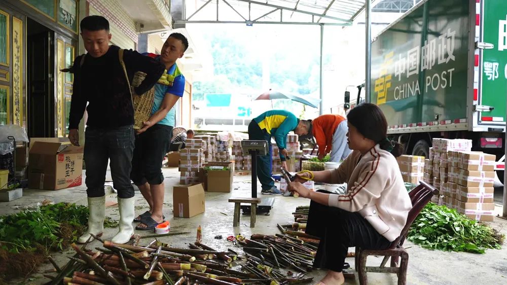 头版头条什么意思,头版头条免费下载