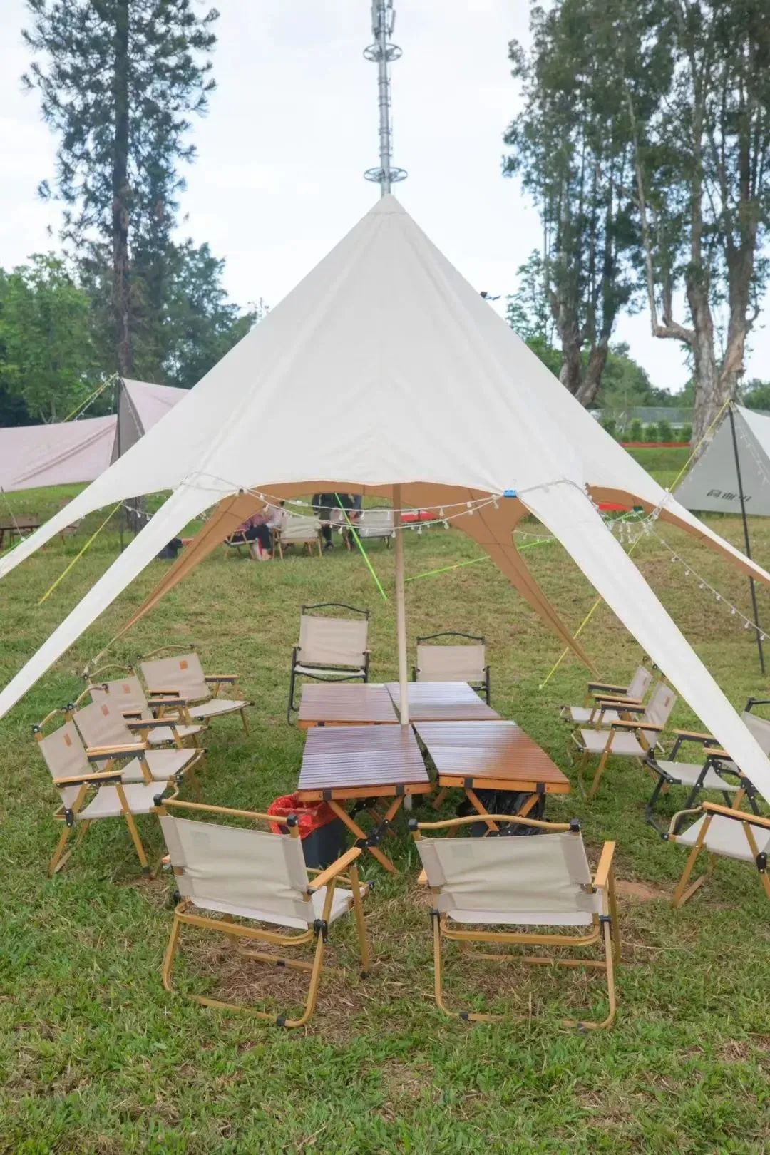 春节来光明“桥”见1958，寻找光明记忆