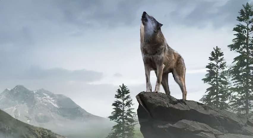 2019骞存湁鍏宠殏铓乻lg娓告垙,铓傝殎绫籹lg娓告垙