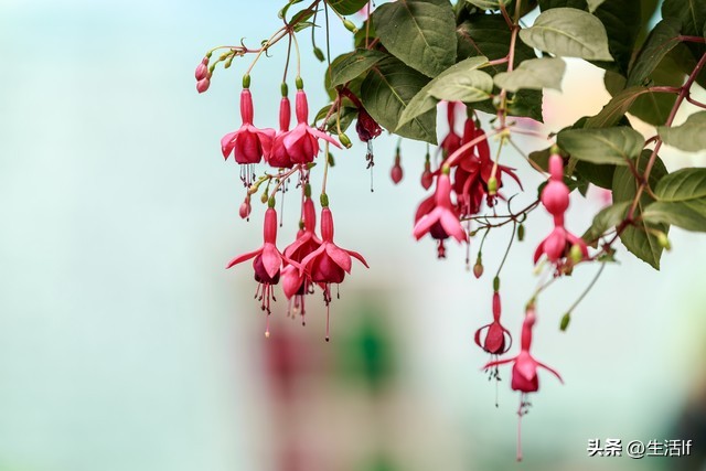 面对故意挑衅的人三种方法,当对方故意激怒你应该怎么做