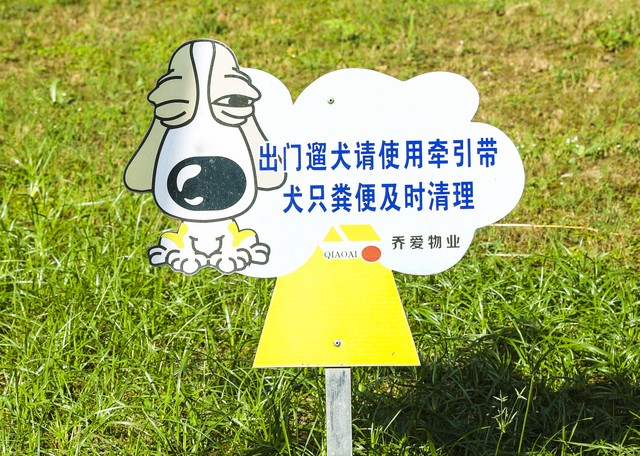 夏季被狗咬怎么办,被狗子咬了怎么处理