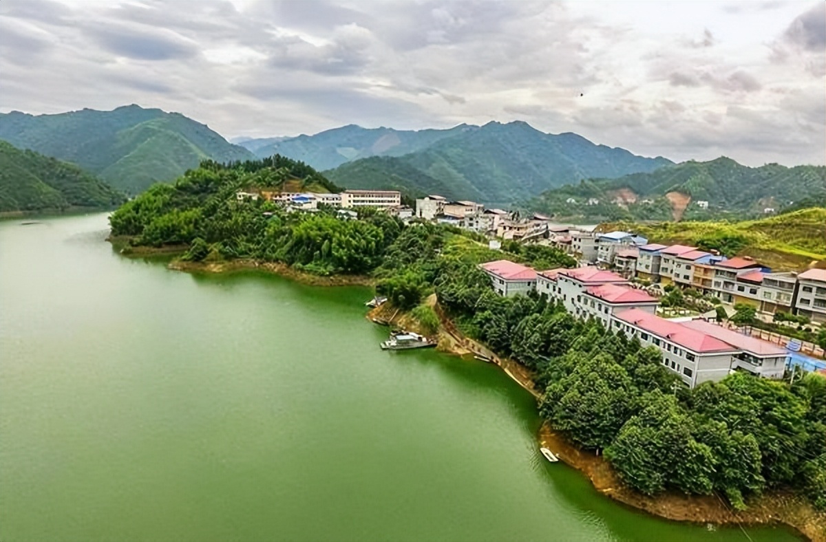 多元共治生态治理模式,多元共治的生态治理模式