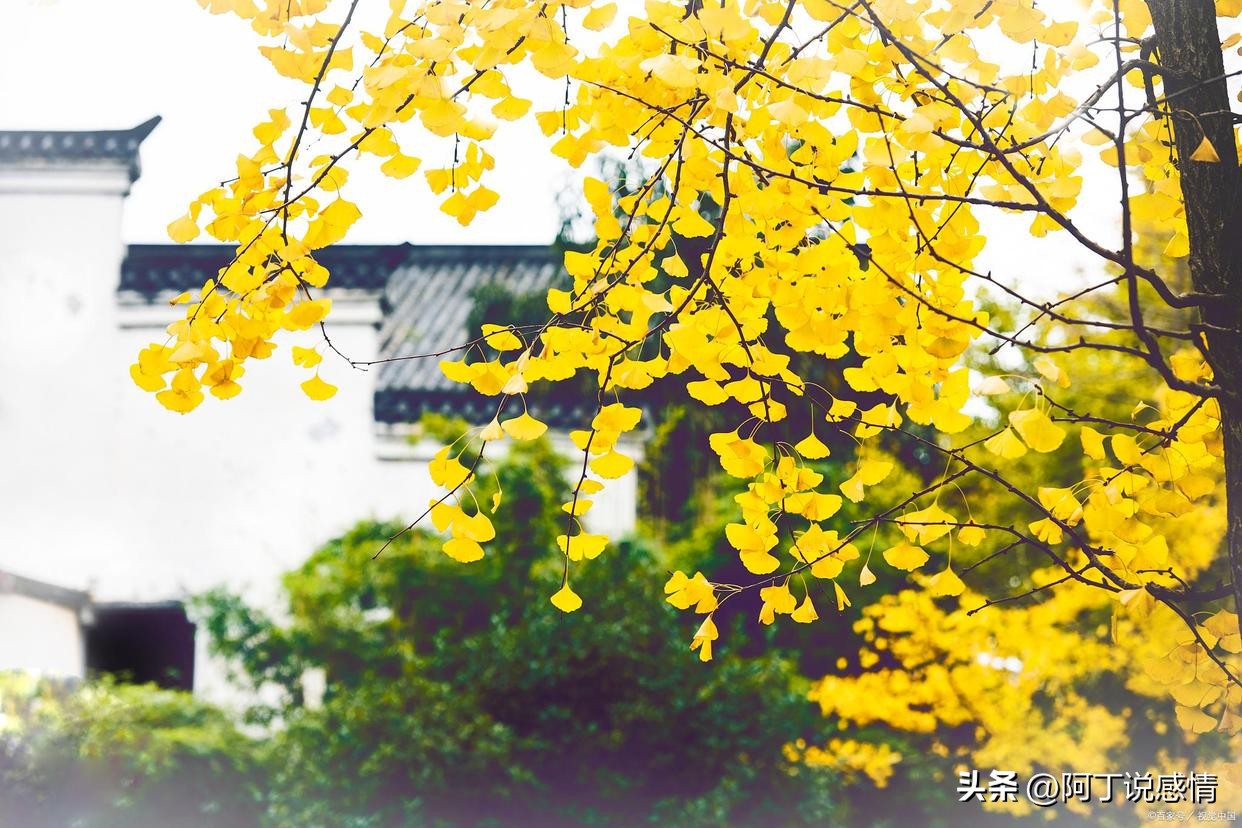 真正有福气的人的特征有哪些,真正有福气的人的八个特点