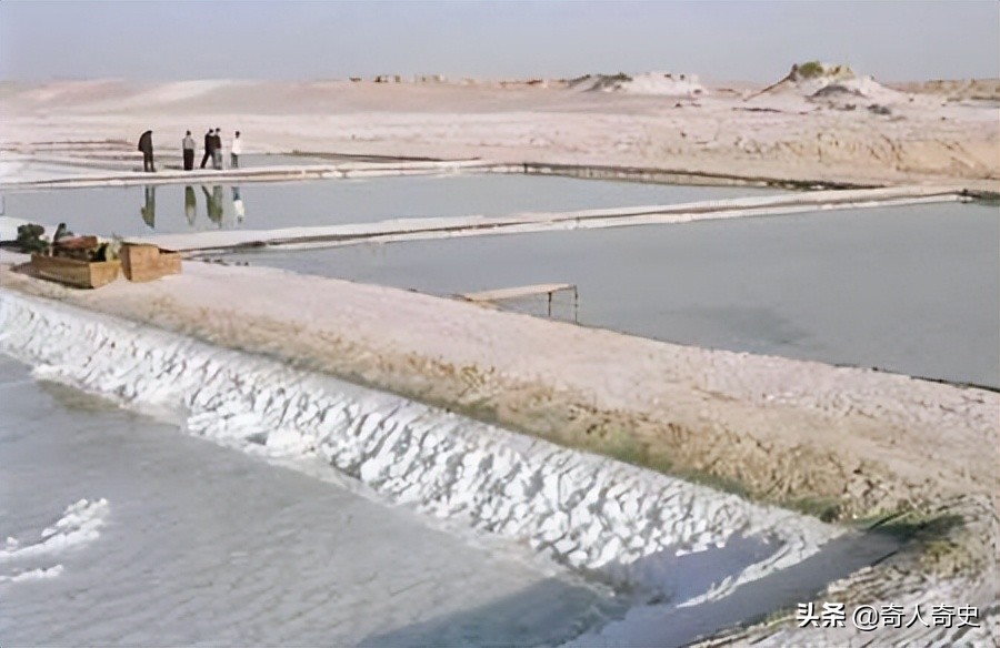 新疆的盐湖复活了吗,死海真实现状