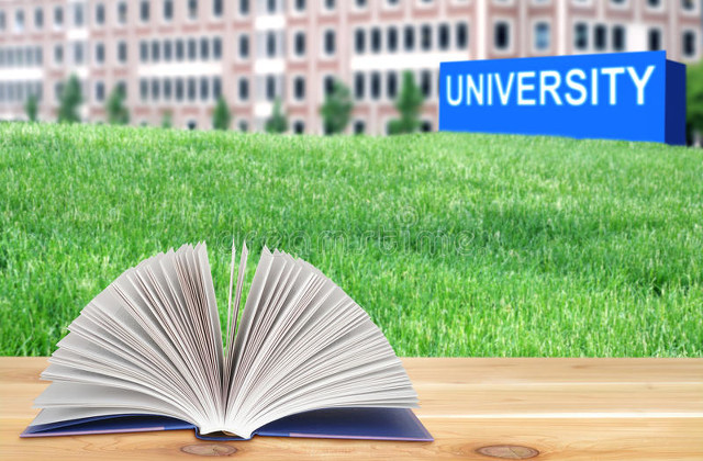 小学校园安全责任架构图,河南省林州市第二实验小学安全