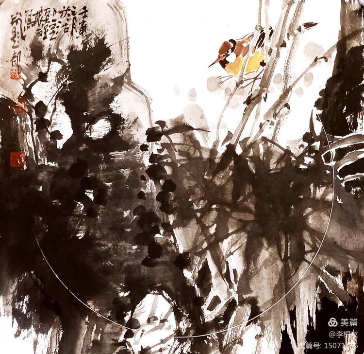 澶╂触鐢诲鐢婚笩,澶╂触鐢诲鐢婚笩鍚嶅崟