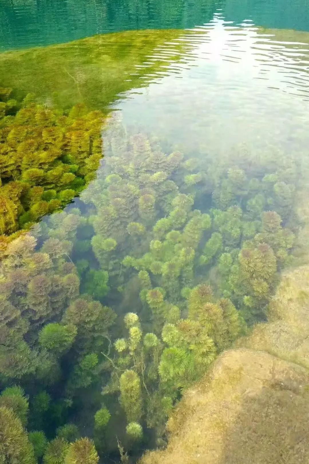 广西夏天哪里的河最适合玩水,广西一年四季玩水好去处