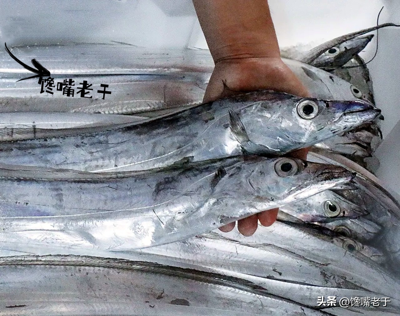 煎带鱼怎么不粘锅不掉皮视频,怎么煎带鱼块不粘锅不掉皮不散