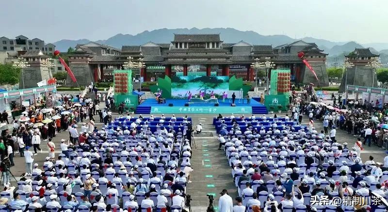 寻茶香赴春约---记四川省茶叶行业协会贵州毕节行