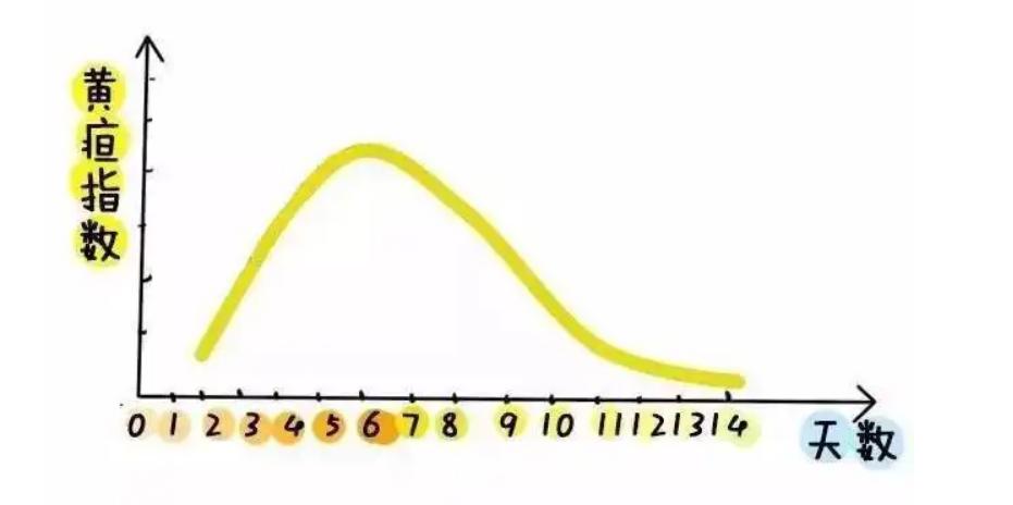 新生儿的黄疸知识宣教,对家长介绍新生儿黄疸的相关知识