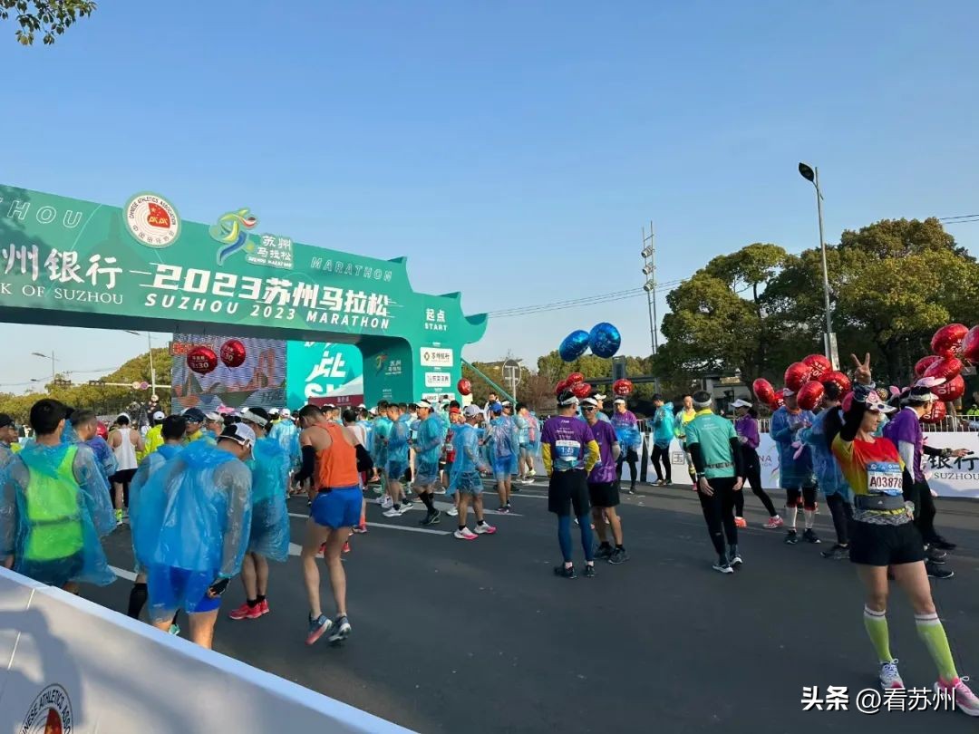 今日苏州马拉松新闻,苏州金鸡湖马拉松鸣枪开跑