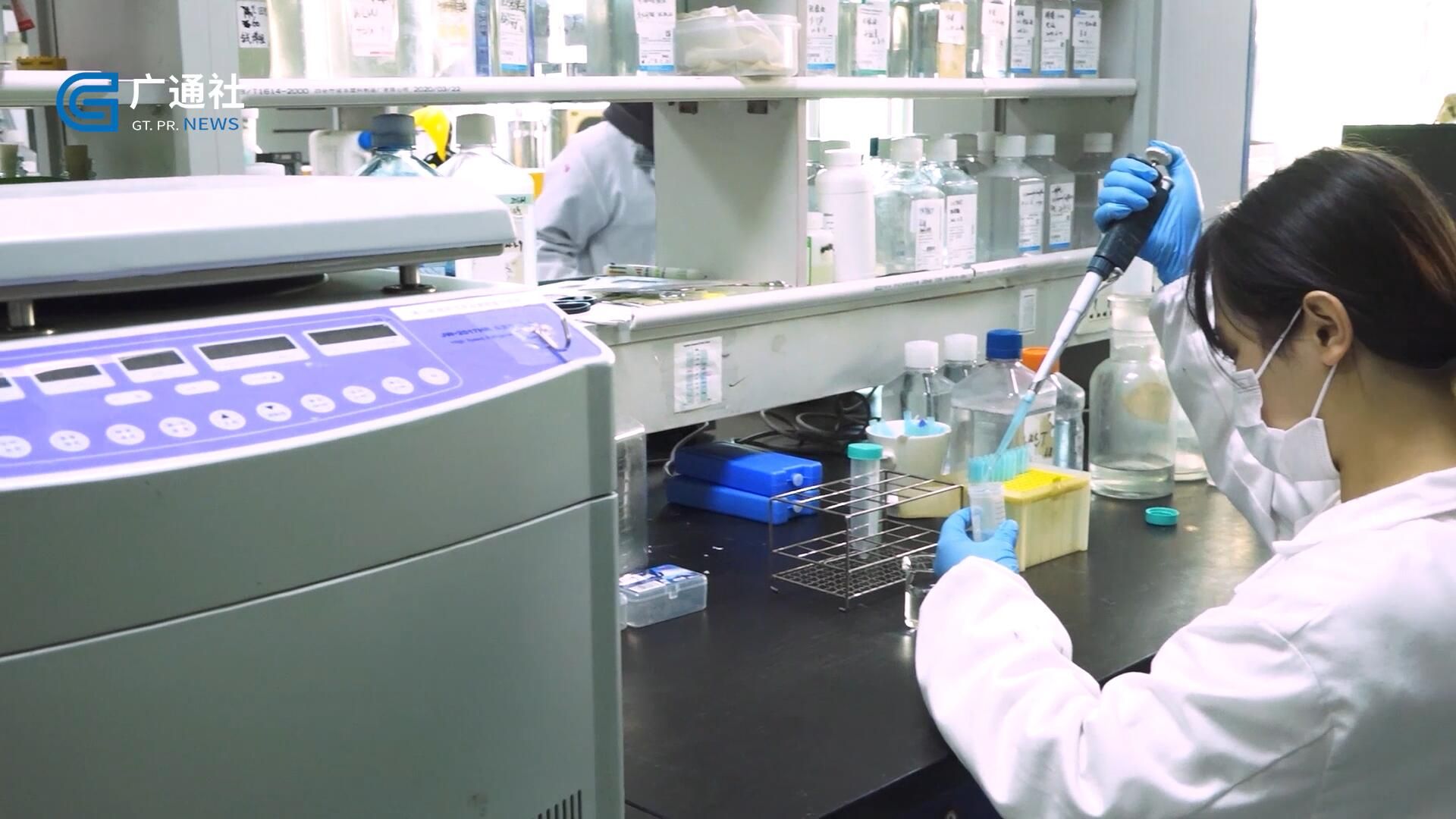 广东新焦点2024,广州新焦点新闻