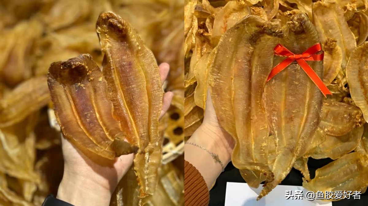 鱼胶颜色越深越老吗,鱼胶是不是年份越久越好呢