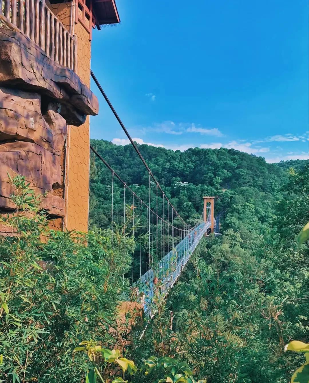 梅州世界客都,梅州世界客都文化