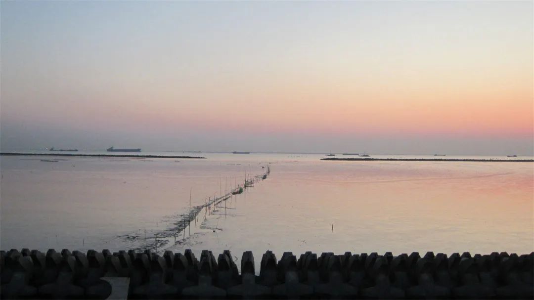 上海看海10大最美海滩浦东,上海海滩景点排名