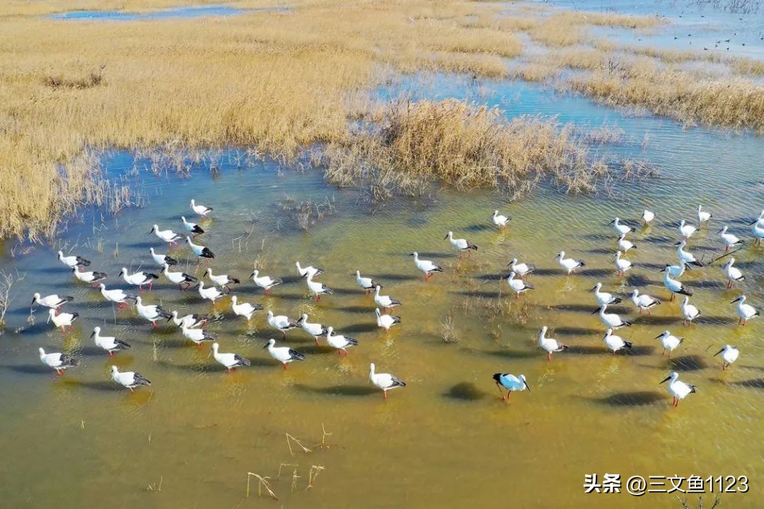 新冠疫情超过三年了吗,新冠肆虐这两年还有人得流感么