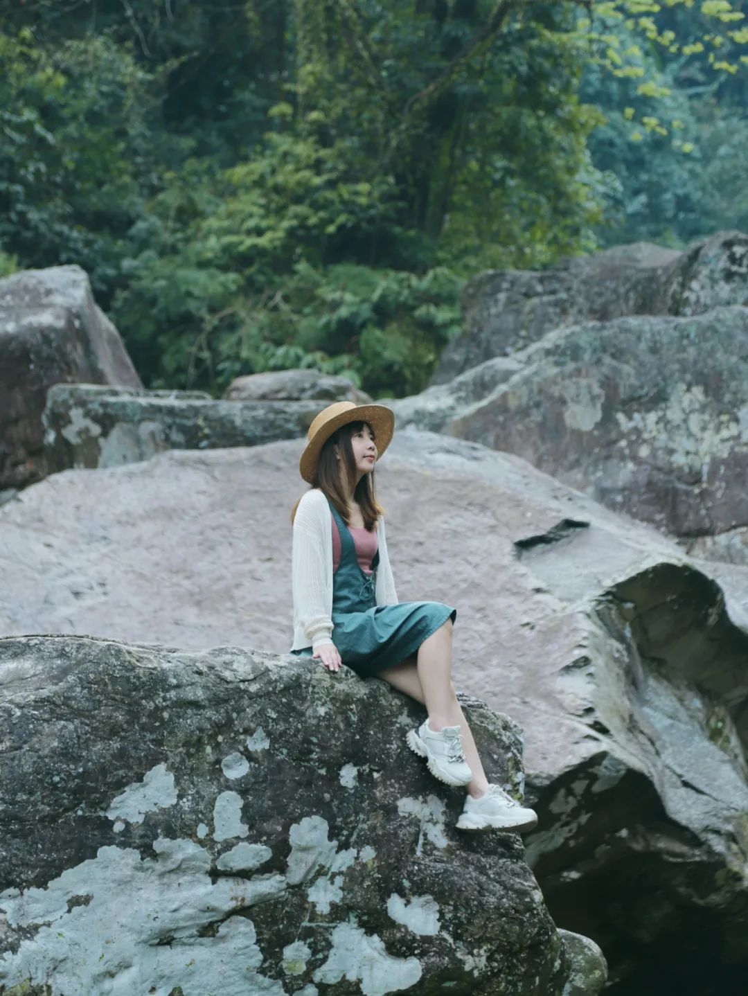 猫咪走太空步原视频最火,猫咪壁虎漫步视频