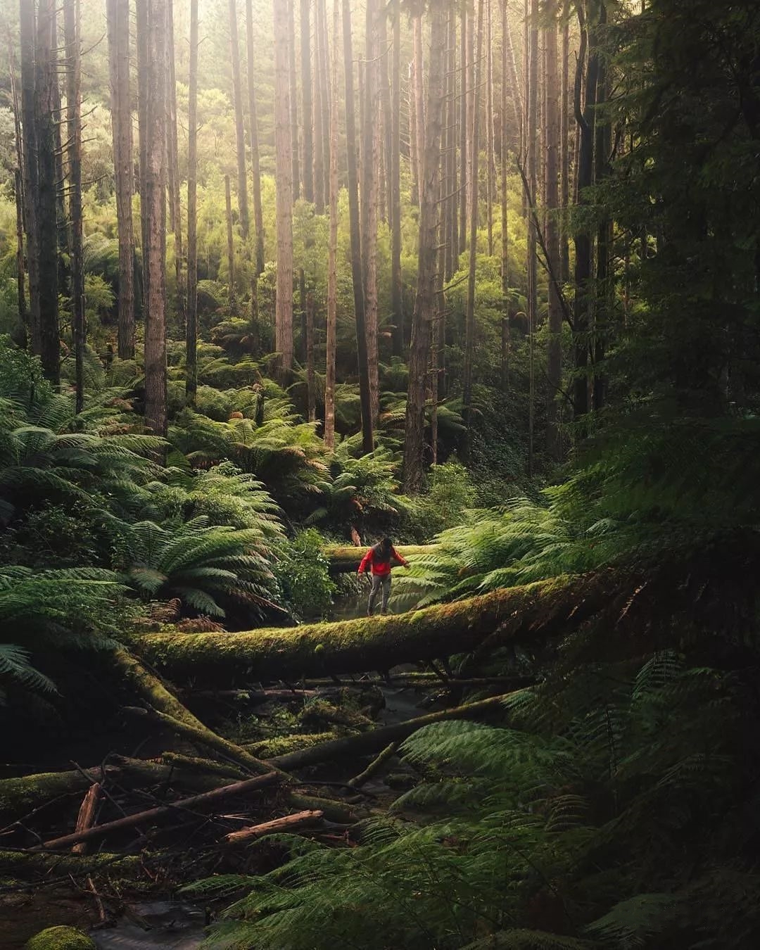 美国风景最好的州,美国风景最多的地方