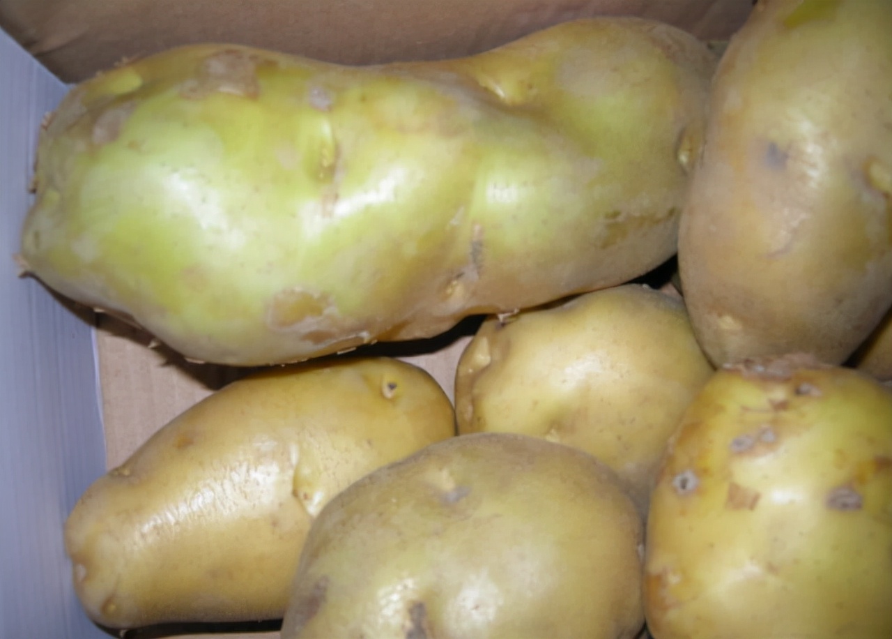 不建议吃的食物,不建议吃的东西是什么