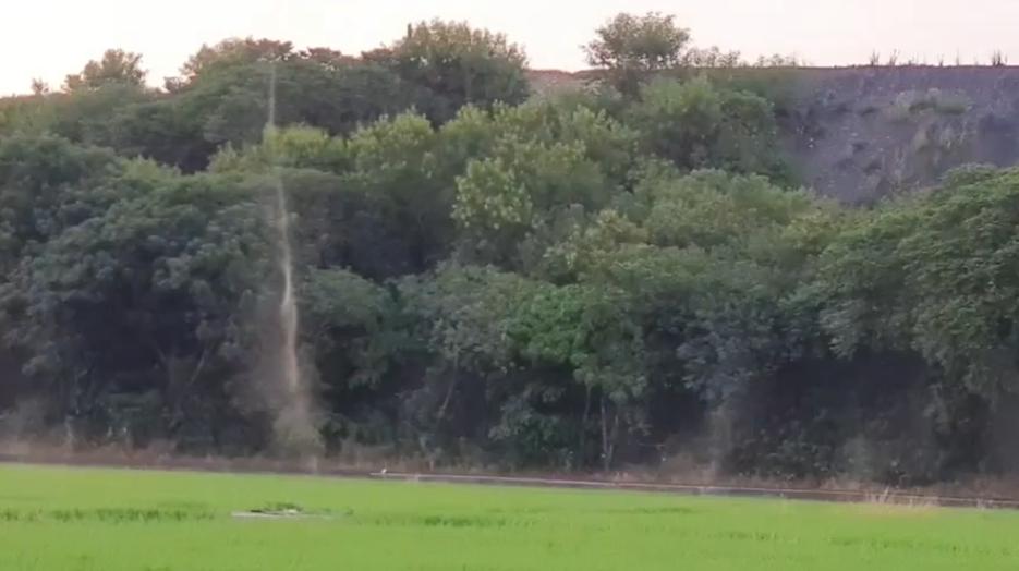 四川泸州摇蚊聚集，犹如微型“龙卷风”，摇蚊爆发真的是好事吗？