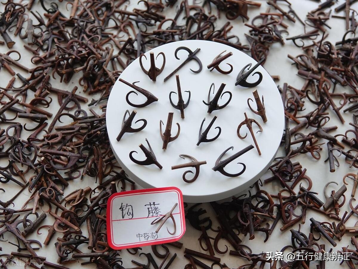 解决口苦的最佳方法吃啥药,口苦最佳的食疗方法是什么