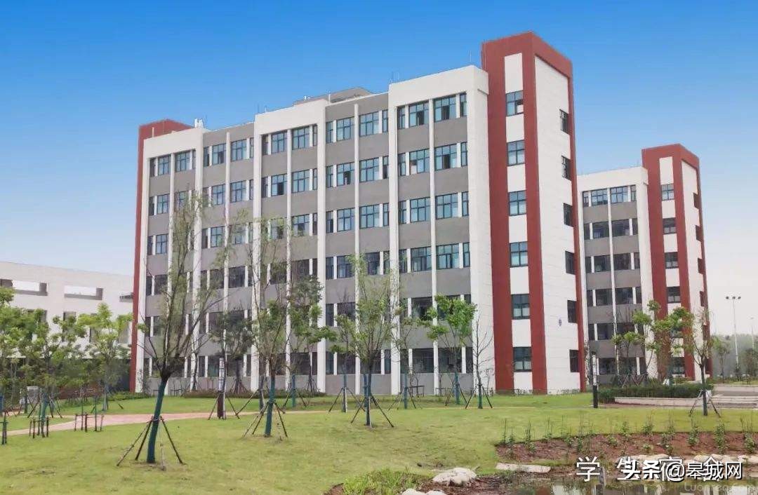 2024年六安汇文中学要搬吗,六安汇文中学搬到南山吗