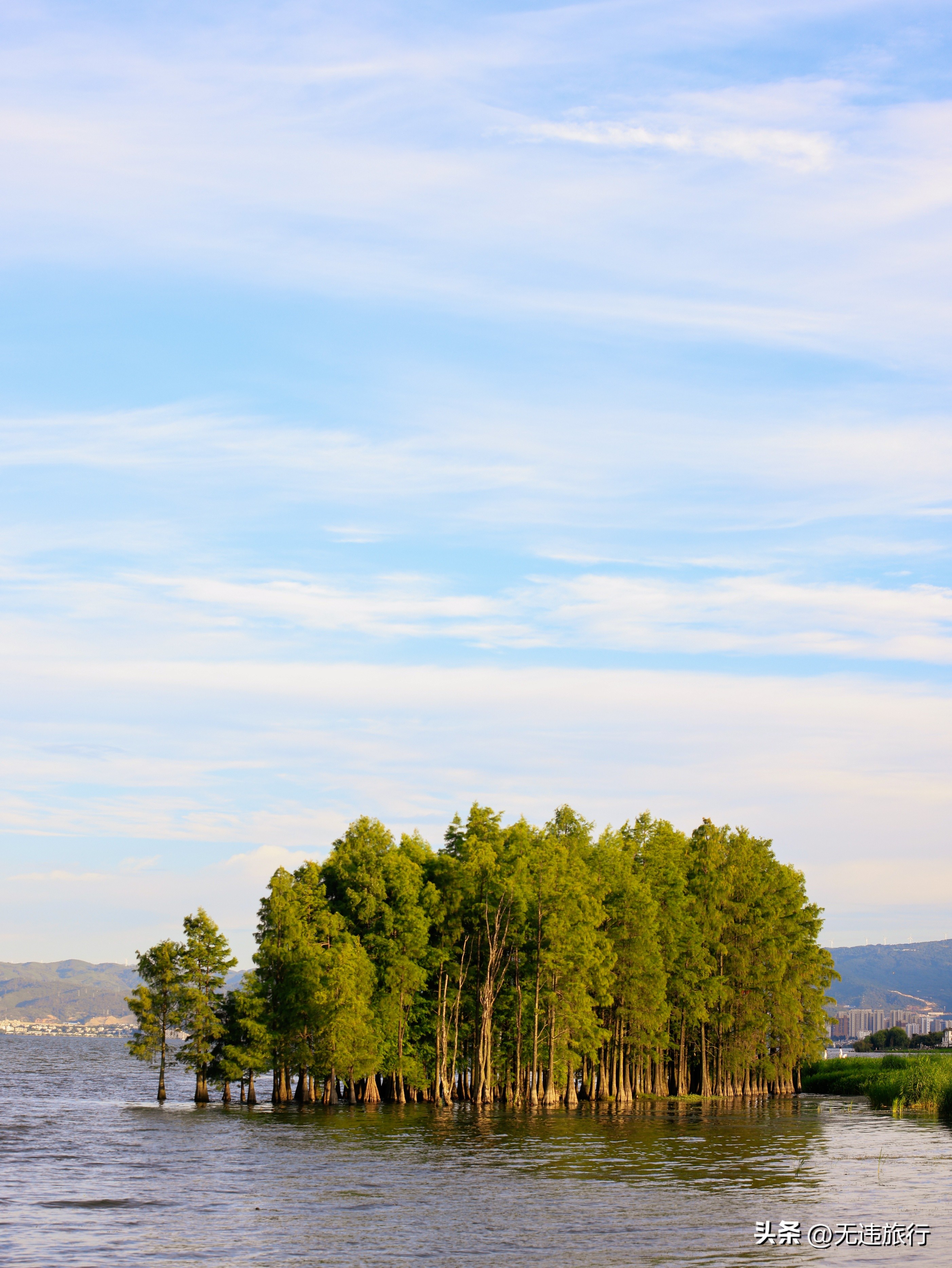 这就是洱海的美,这就是真正的大理古城