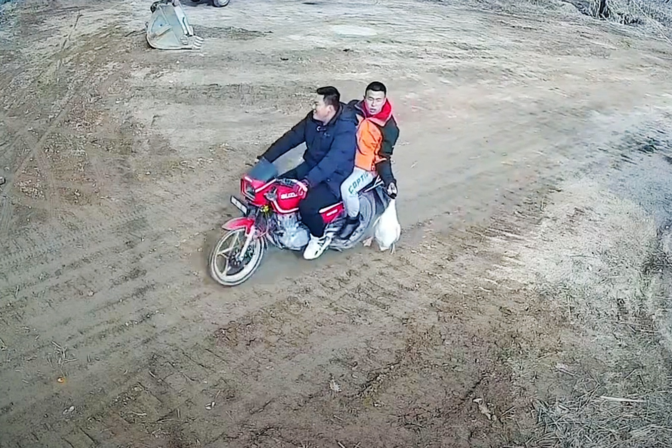 鹅被灌酒飞走,大鹅被灌酒后飞走