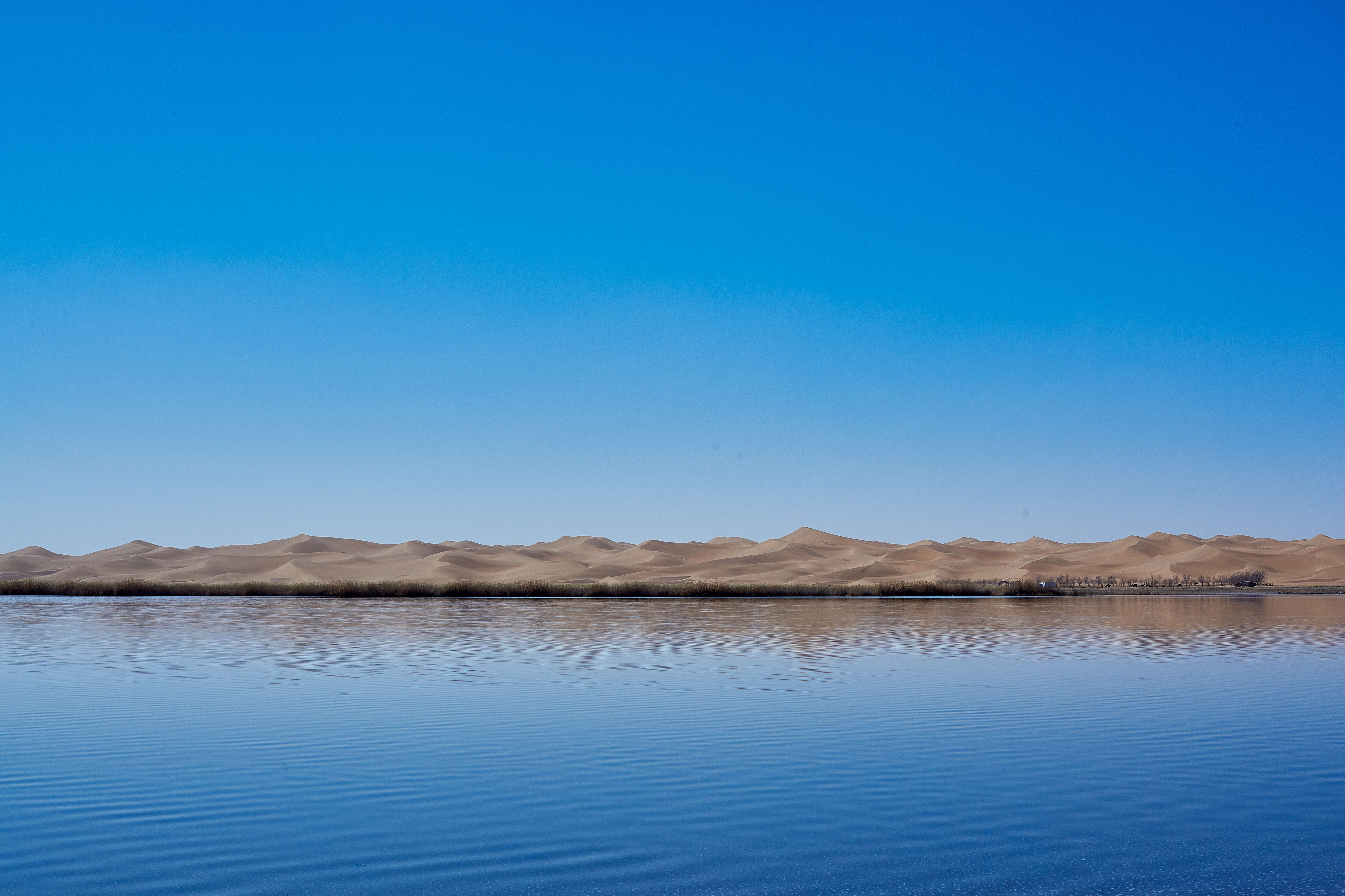 沙漠团建拓展项目意义,团建拓展最后的总结