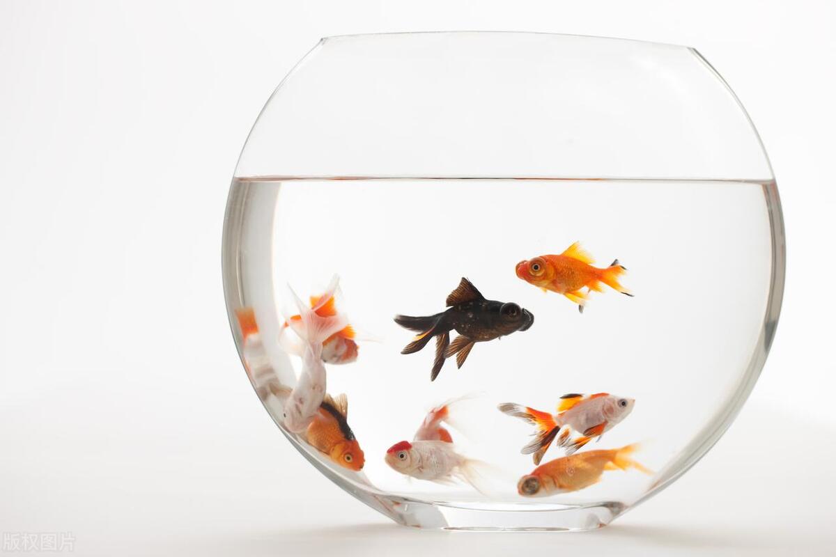 六种东西送了人财两空,不利财的东西千万别送