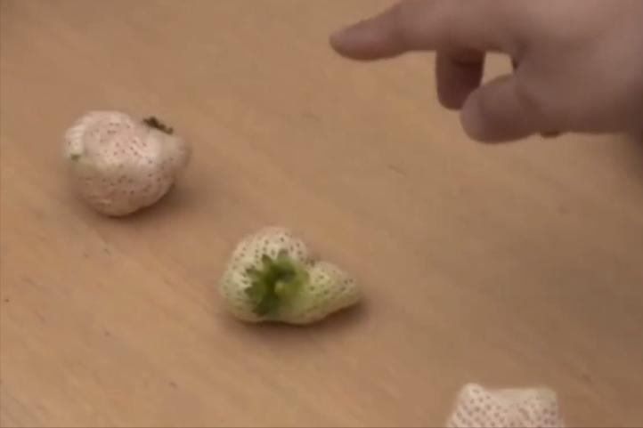 大叔研究彩票十年,大叔盲盒