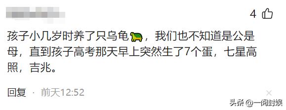 老婆坦白出轨道歉老公回答太硬核,老婆坦白出轨丈夫崩溃