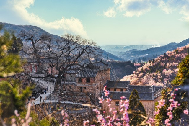 春天来了感受大自然的气息,春天来了感受花的气息