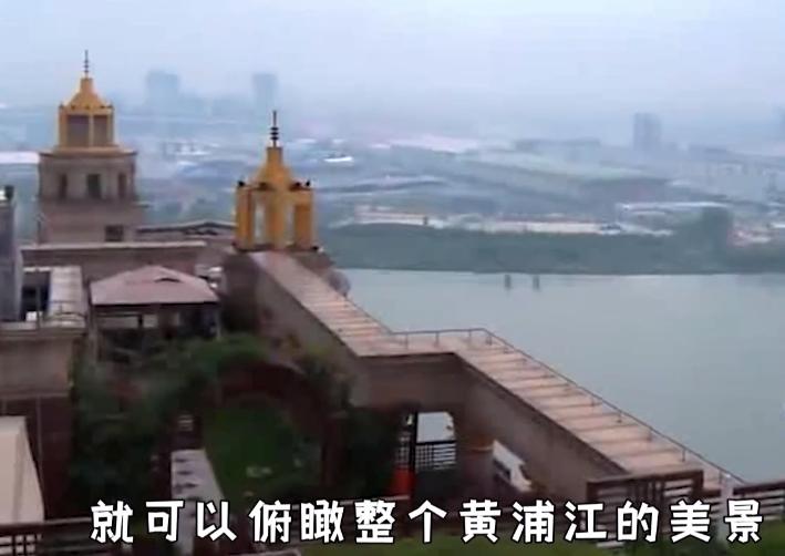 微商张庭现状如何,深度分析张庭微商