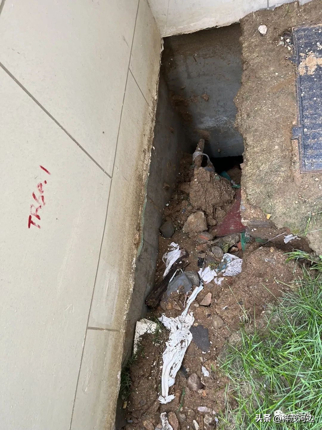 红岛湾新城住宅质量问题,新城红岛湾别墅质量问题