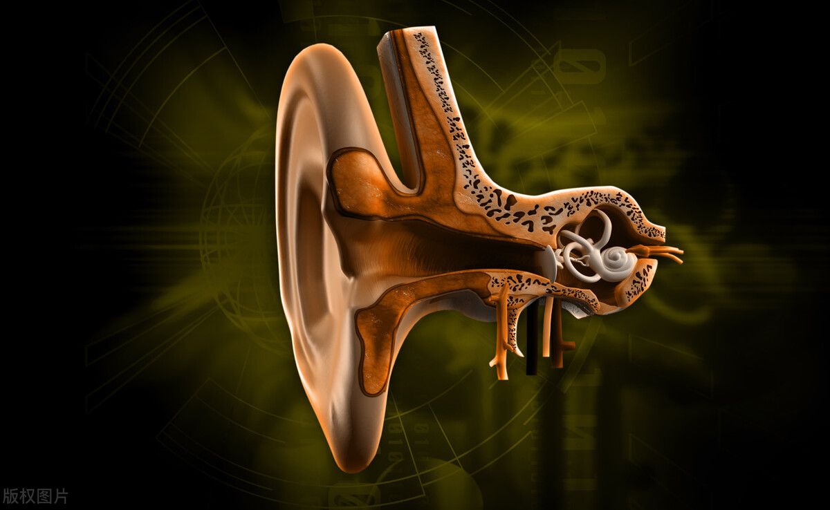 不眩晕了是不是耳石已经复位了,治疗眩晕最好的方法是耳石复位吗