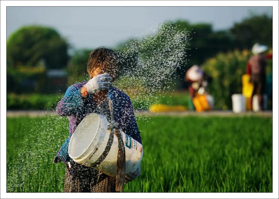 农民永久退出土地每亩补偿金额,农民退出土地一亩能补偿多少钱