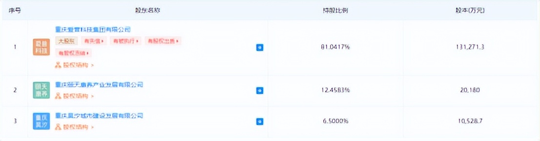 重庆房地产开发商破产,重庆某开发商被追债