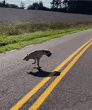 健身房有多乱知乎,健身房真的乱吗知乎后续
