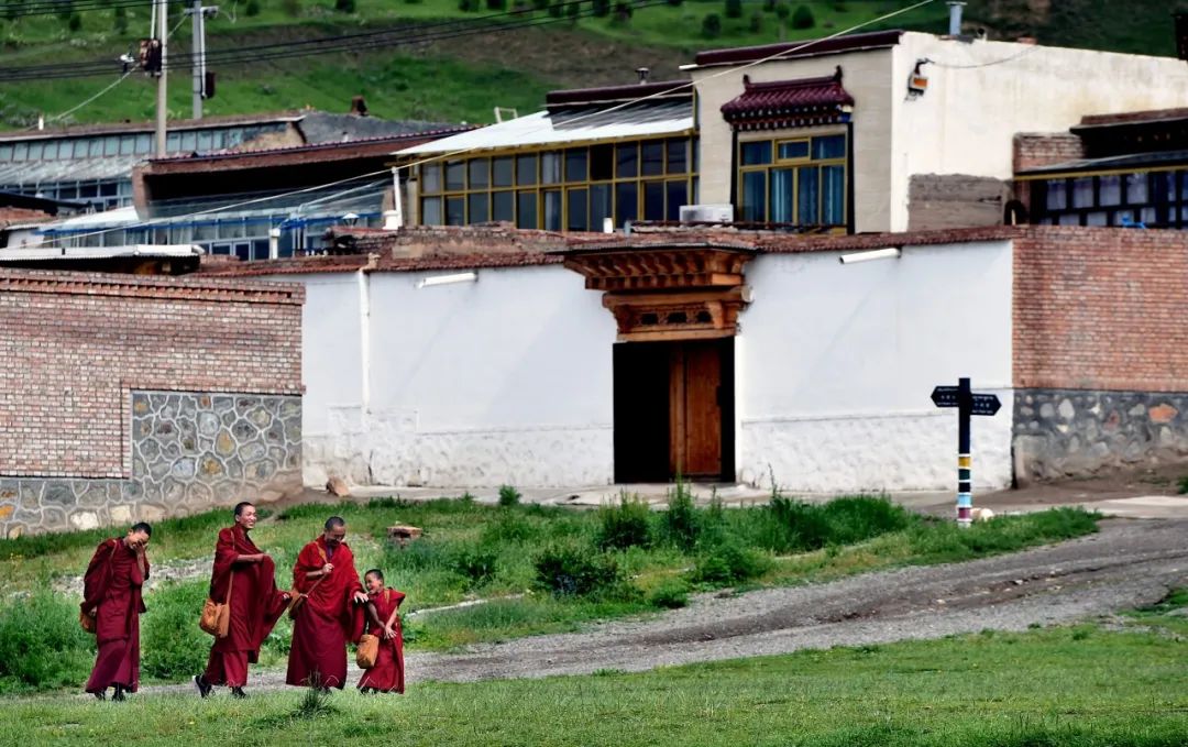 都去挤*疆新**？我选这个20°C的西北秘境