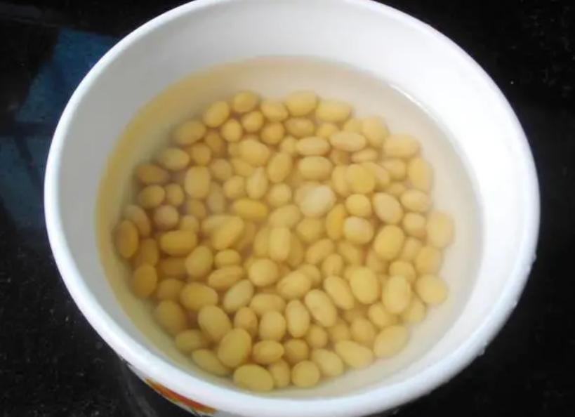 各种花水养花技巧和方法,养花小技巧不用肥料