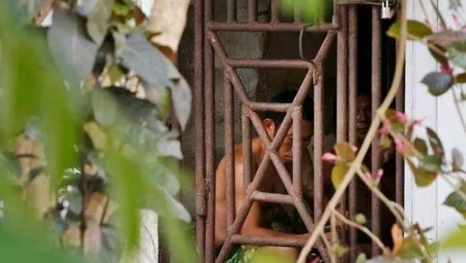 东南亚远比你想象中更可怕：电击、水牢、吃屎，挖器官不打麻药