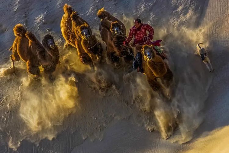 内蒙奈曼旗摄影,内蒙古通辽市奈曼旗宝古图沙漠