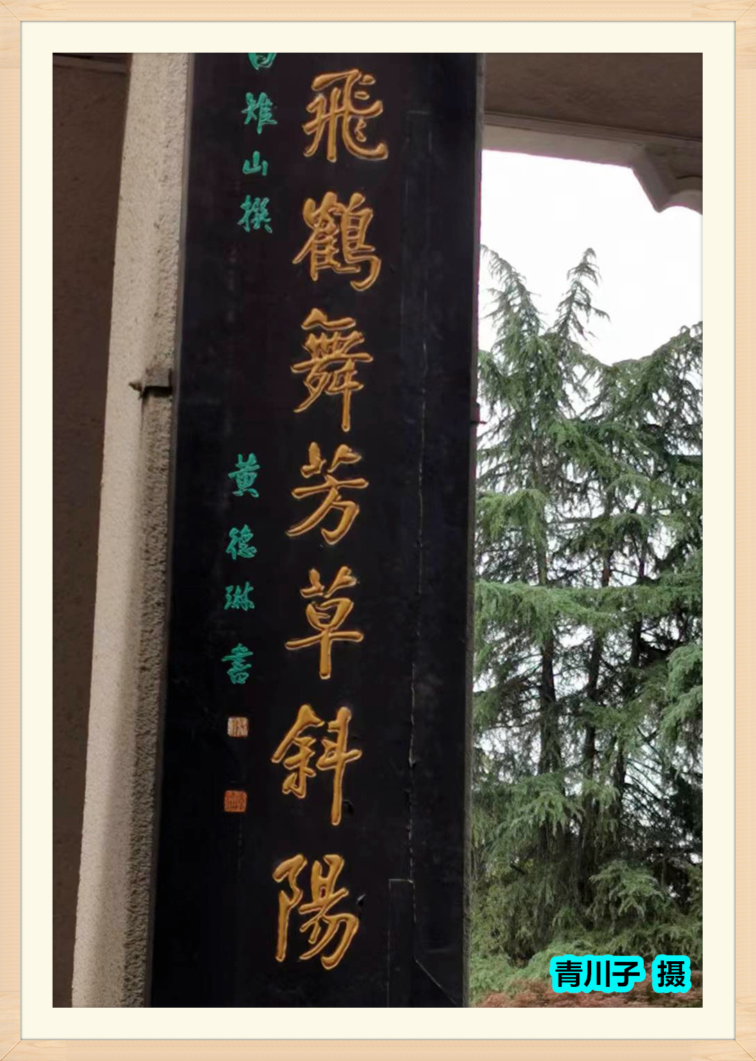 黄德琳书法视频,黄德琳书法值多少钱