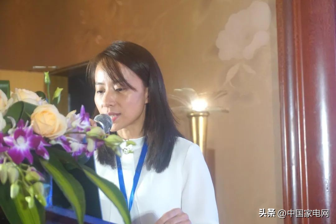 技术创新趋势——2022美健（个护）电器行业技术交流会顺利召开