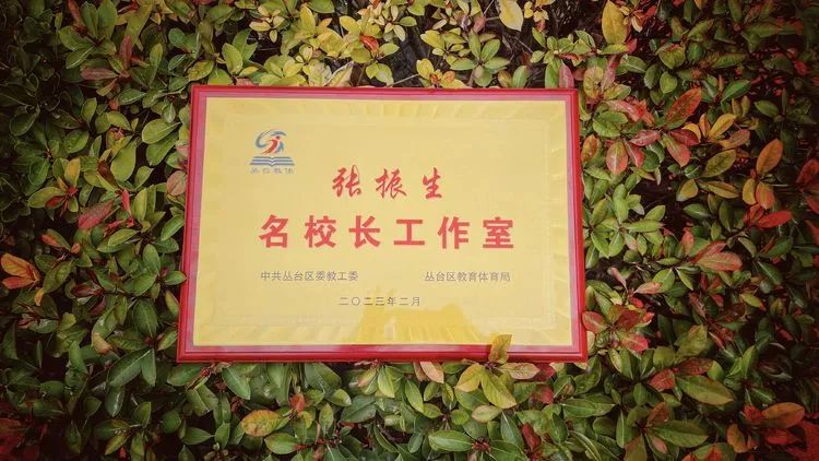 邯郸市丛台区永安教育集团,邯郸丛台区永安中学